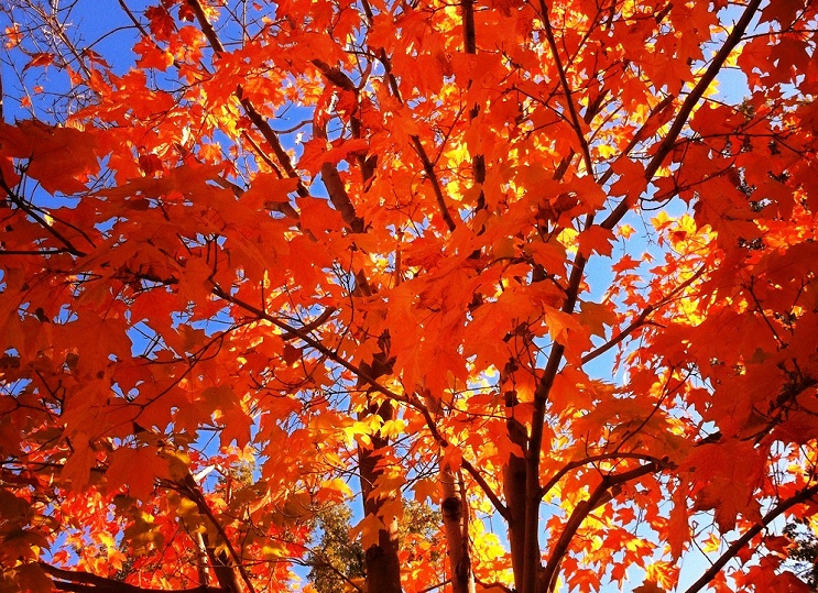 Fall 2015 Workshops in Fitchburg!